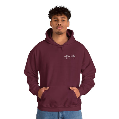 Lagom (Not Too Little Not Too Much) - Hoodie