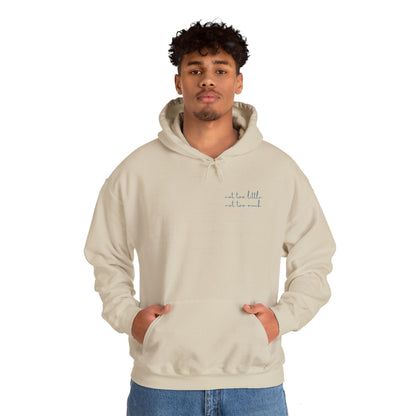 Lagom (Not Too Little Not Too Much) - Hoodie